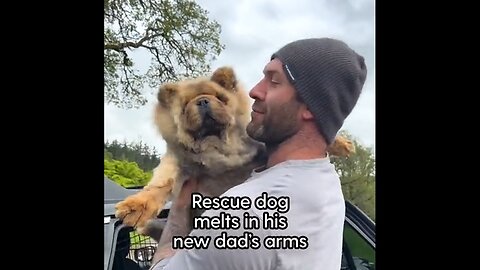 Rescue Dog Melts In His New Dad's Arms