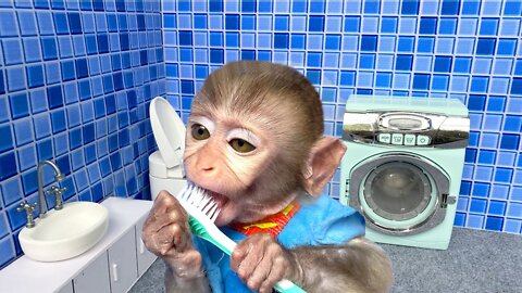 Baby Monkey brushes teeth in the bathroom then doing the shopping in eggs toy store