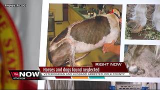 Veterinarian and her husband arrested for Felony Animal Cruelty in Polk County