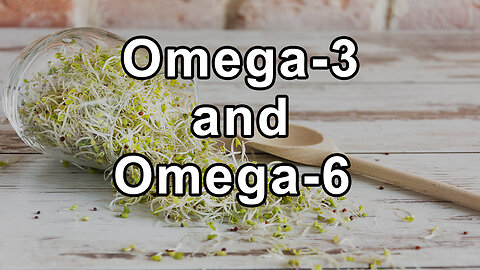 Ratio of Omega-3 and Omega-6 Oils, Olive Oil, Sprouting Sunflower Seeds, Sprouting, Detecting Rancid