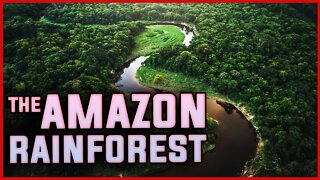 WHY THE AMAZON RAIN-FOREST IS SO IMPORTANT? | WILDLIFE | GLOBAL WARMING | NATURE | SCIENCE | WORLD