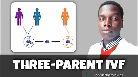 Three-parent In Vitro Fertilization: MST and PNT | Dan The Medic Lectures
