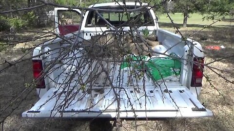 Starting An Apple Orchard At The New Homestead