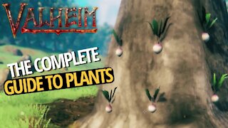 Complete Guide To Plants - Valheim