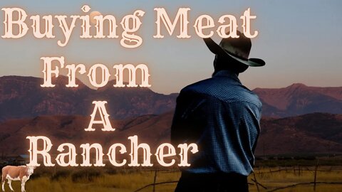 How to Buy Meat Directly From a Rancher: Cut Out the Middleman and Save Money