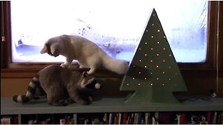 Make a Paper Mache Christmas Tree