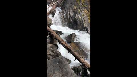 Flathead national Forrest