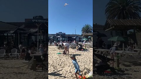 The Sandbar, Middle Park #TheSandbar, video 1