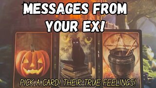 💌 Messages From Your EX! ❉ PICK A CARD ❉ What They Wish To Tell You TODAY! ❤️‍🩹