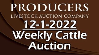 12/1/2022 - Producers Livestock Auction Company Cattle Auction