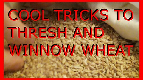 BSH - Cool Tricks For Threshing and Winnowing Wheat