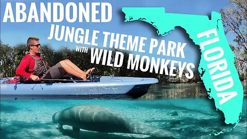 Found Wild Monkeys In Florida!