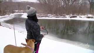 Woman celebrates her love of dogs with "Dogwaukee" business