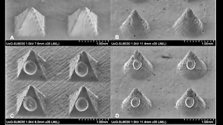 Evidence of a Terraformed Planet, Millions of Years Ago, Jared Murphy PT3