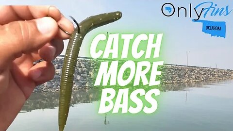 The Wacky Rig: Unleashing Worm Techniques in 3 Unique Ways To Get More Hookups
