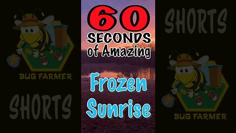 #shorts Frozen Sunrise - Fire and Ice - 60 Seconds of Amazing