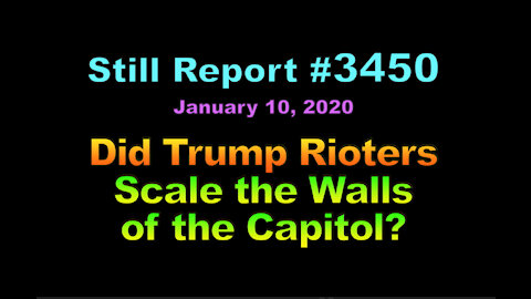 Did Trump Rioters Scale the Walls of the Capitol?, 3450