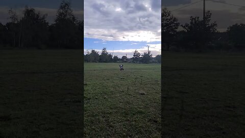 losi dbxle 2 HARD landing