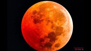 Beaver/Blood Moon Lunar Eclipse Through My Telescope 🔭