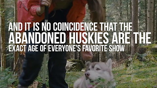 Huskies Are Being Abandoned Because of Game of Thrones