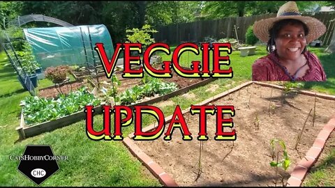 Cats Veggie Garden Update - 9Jun2022