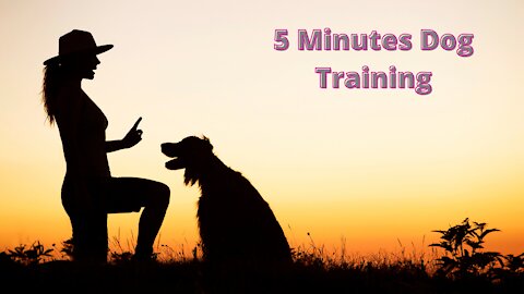 The Most Effective Way For Training Your Dog In 5 Minutes