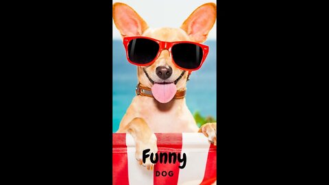 🤣Funny Dogs Hyped about FOOD 2022 Video Clips #shorts