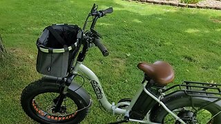 Apollo Walker Dog Basket Carrier on Amazon for your bicycle