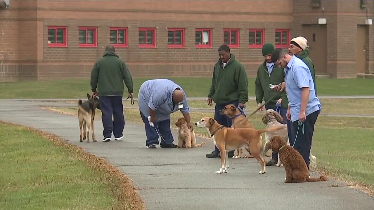Dog training program gives inmates a sense of purpose