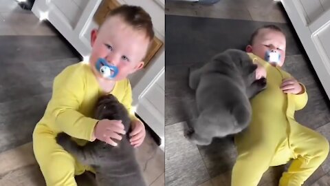 OMG! Baby has prize less reaction to new puppy .