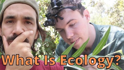 What Is Ecology?