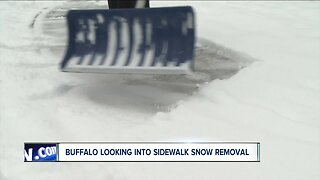 Buffalo looking into sidewalk snow removal
