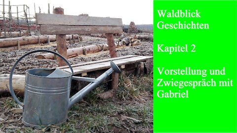 Waldblick Geschichten Kapitel 2 / Vorstellung und Zwiegespräch mit Gabriel