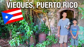 Top 5 Must Do's on Vieques Island Puerto Rico Travel Tips 2023 (Know Before You Go) 🇵🇷