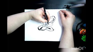 Drawing Butterfly