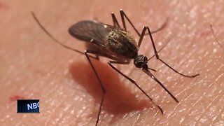 Mosquito season approaching northeast Wisconsin