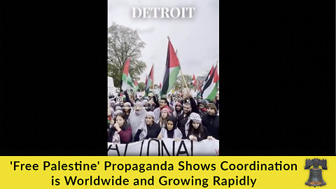 'Free Palestine' Propaganda Shows Coordination is Worldwide and Growing Rapidly