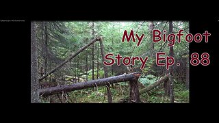 My Bigfoot Story Ep 88 When A Tree Falls In The Forest