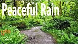Peaceful Soothing Nature Rain Sounds for Relaxation Sleeping Work Focus Study Meditation 12 Hours