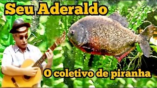 Escolinha do Professor Raimundo; Seu Aderaldo, o coletivo de piranha🐟