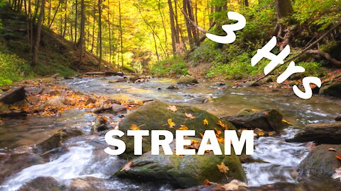 Relaxing Water | Flowing Stream | 3 Hrs ~ ASMR ~