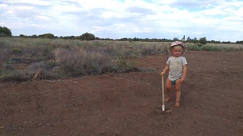 Start of our homesteading journey / self sufficiency / freedom