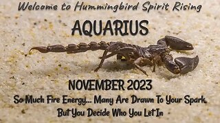 AQUARIUS Nov 23 - So Much Fire Energy... Many Are Drawn To Your Spark, But You Decide Who You Let In