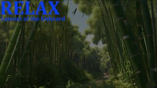 RELAX - Lament of the Unheard #meditation #nature #wind #relaxation #sound #forest #bamboo