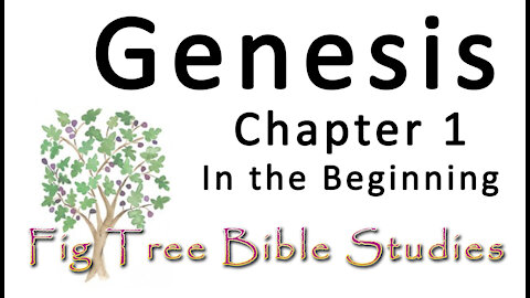 Genesis 1 (In the Beginning)