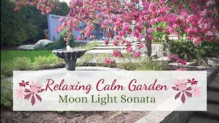 Relaxing calm garden with Moonlight Sonata