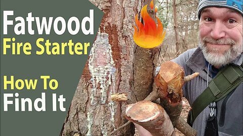 How to Find Fatwood for Fire Starter for Backpacking and Bushcraft Survival