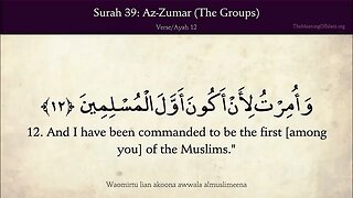 English Quran | Chapter 39 | Surah Az-Zumar ( The Crowds )