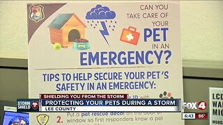 Protecting your pets during a storm