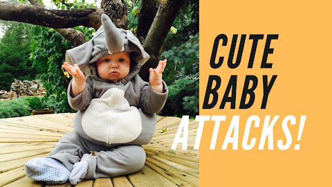 Cute Baby Videos Compilation – They’re SO CUTE! #5